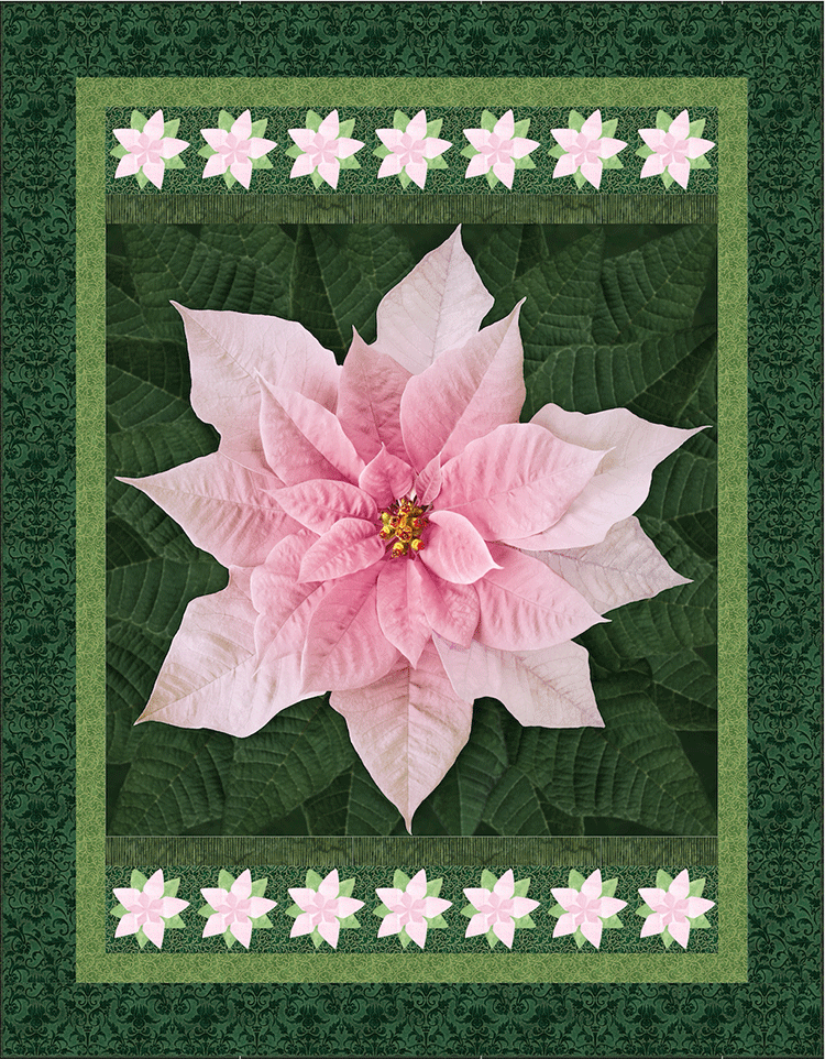 Pink-Poinsettia-1.gif